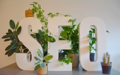 Une agence de référencement SEO à Paris peut-elle garantir la première position sur Google ?
