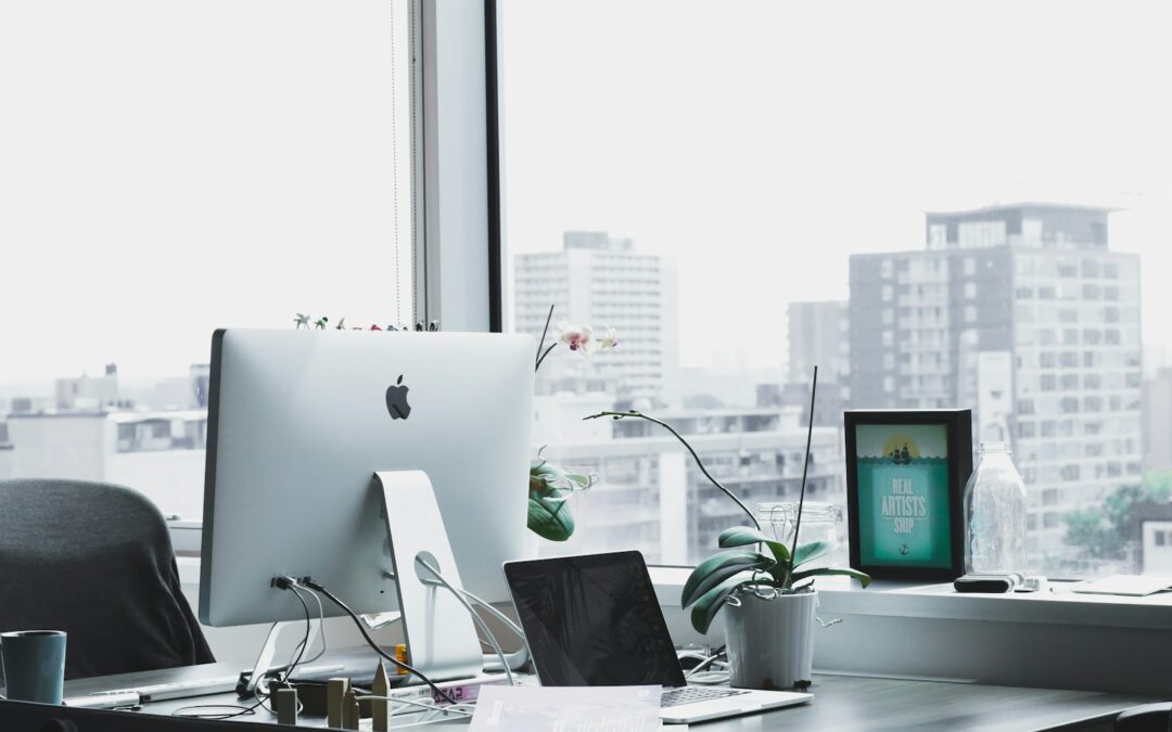 agence web lyon